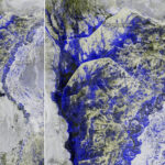 Space satellite reveals details of biggest flood devastating Pakistan