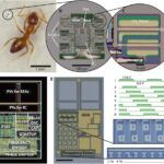 Engineers have created tiny "brains" for autonomous microrobots