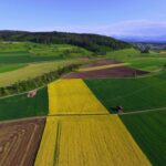 Artificial farmer: how AI increases crops and destroys pests