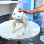 IFA 2022 showed a cute MarsCat robot cat that feels touch, responds to voices and plays with toys