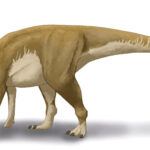 ديناصور بجلد يشبه كرة السلة موجود في كندا