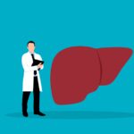 How to speed up the self-healing of the liver