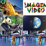 Google has developed the Imagen Video neural network, which creates a video based on a text description.