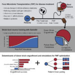 Panacea of ​​the 21st century: how fecal transplantation works and whether it cures depression