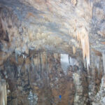 The bones in the Midnight Terror Cave were carefully examined and found inexplicable footprints.