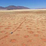 Scientists have uncovered the secret of the "fairy circles of Namibia"