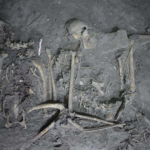 The remains of the most ancient monkey, donated by the Maya to the Aztecs, were found