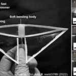 The fastest soft robot "floats" in the water like a butterfly