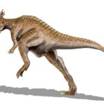 "Kangaroo Dinosaur" could jump and box while standing on its tail
