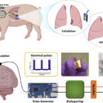 Developed a brain stimulator that is charged by breathing