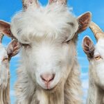 God of War Ragnarok, Call of Duty: Warzone 2, new Goat Simulator and more: we've rounded up the highlights of November