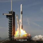 SpaceX sent dwarf tomatoes to the ISS: they will be grown for the moon