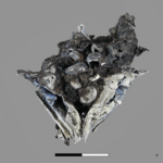 Found the world's first "kitchen": they fried fish there 780,000 years ago