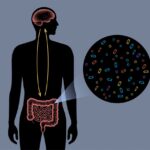 13 types of bacteria found in human feces that affect mood