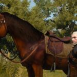 The nextgen we deserve! The updated version of The Witcher 3: Wild Hunt now has the ability to pet a horse
