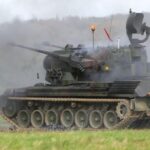 رسميًا: ألمانيا ستنقل سبع دبابات مضادة للطائرات من طراز Gepard إلى القوات المسلحة الأوكرانية