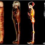 Tomography showed how they buried the "golden youth" in ancient Egypt