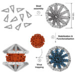 Virus prins cu figurine origami ADN