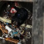Apple AirTag helped save a dog that was swept away by storm water
