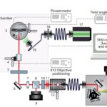 Light was amplified 100 times by the interaction of photons and electrons