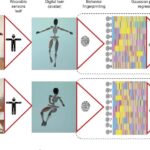 Avatar and motion-capture technology predict the development of paralysis