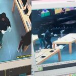 Robbers stole $100,000 worth of gadgets from the Apple Store and threw away most of the gadgets