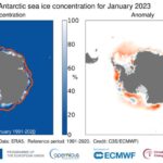 L'étendue des glaces en Antarctique atteint un niveau record en janvier