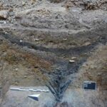 Les archéologues ont trouvé un ancien analogue romain de fil de fer barbelé