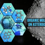 15 amino acids and aromatic carbohydrates found on the asteroid Ryugu