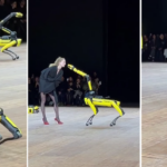 Five Boston Dynamics robotic dogs take part in the Coperni fashion show in Paris