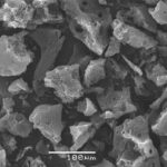 Siberian scientists create supercapacitors from pine nut shells