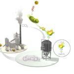 Bacteria developed to produce cement from carbon dioxide