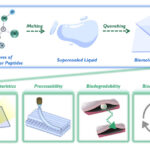 Biodegradable glass smelted from amino acids and peptides