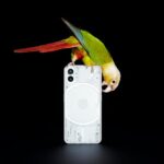 Nothing Phone (1) will get Android 14 beta soon