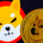 Musk replaced the Twitter logo with a Dogecoin mascot dog, which raised the price of the cryptocurrency
