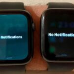 Certaines Apple Watch sont devenues vertes après la mise à jour vers watchOS 9.5