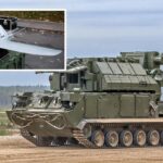 Ukrainian Leleka-100 drone helped destroy $25 million Tor-M2 air defense system
